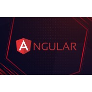 Angular – The Complete Guide (2021 Edition)