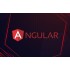 Angular – The Complete Guide (2021 Edition)